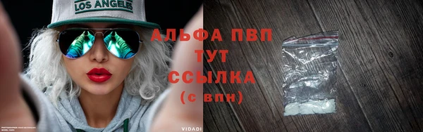 сатива Аркадак