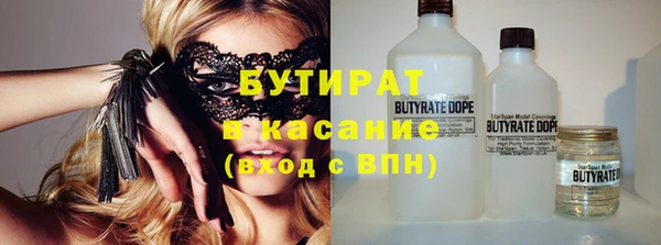 сатива Аркадак