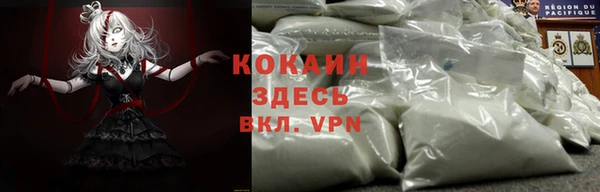 сатива Аркадак