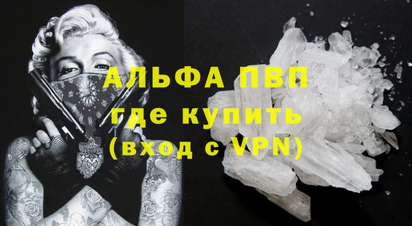сатива Аркадак