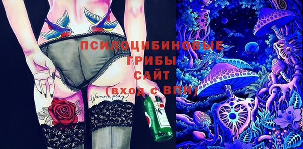 сатива Аркадак