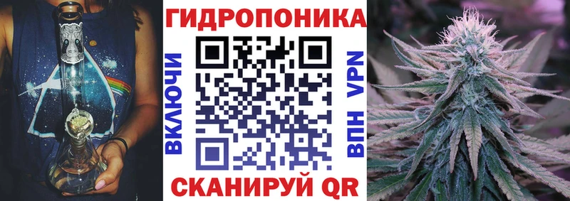 блэк спрут ССЫЛКА  где продают наркотики  Дорогобуж  Каннабис семена 